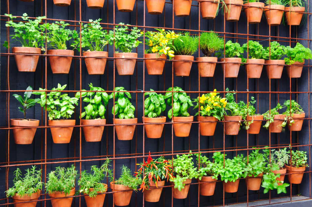 Benefits of Vertical Gardening