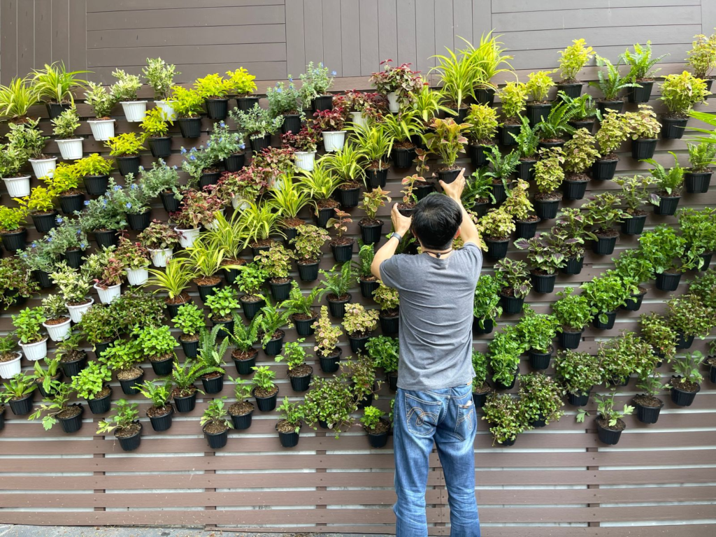 The Concept of Vertical Gardening