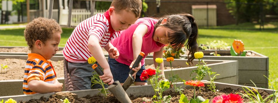 Creating a Butterfly Garden