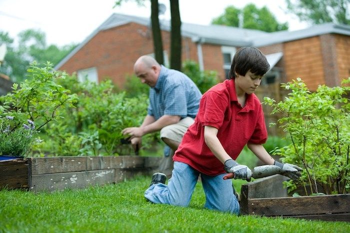 Composting: Turning Waste into Nutrient-Rich Soil