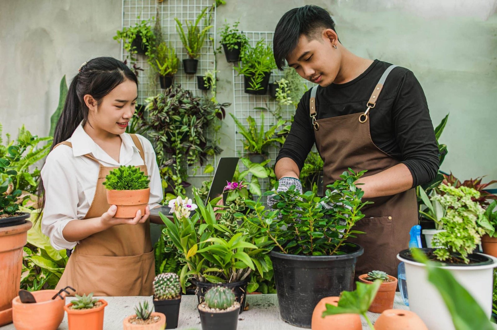 Aesthetic and Therapeutic Gardening: Cultivating Beauty and Wellness